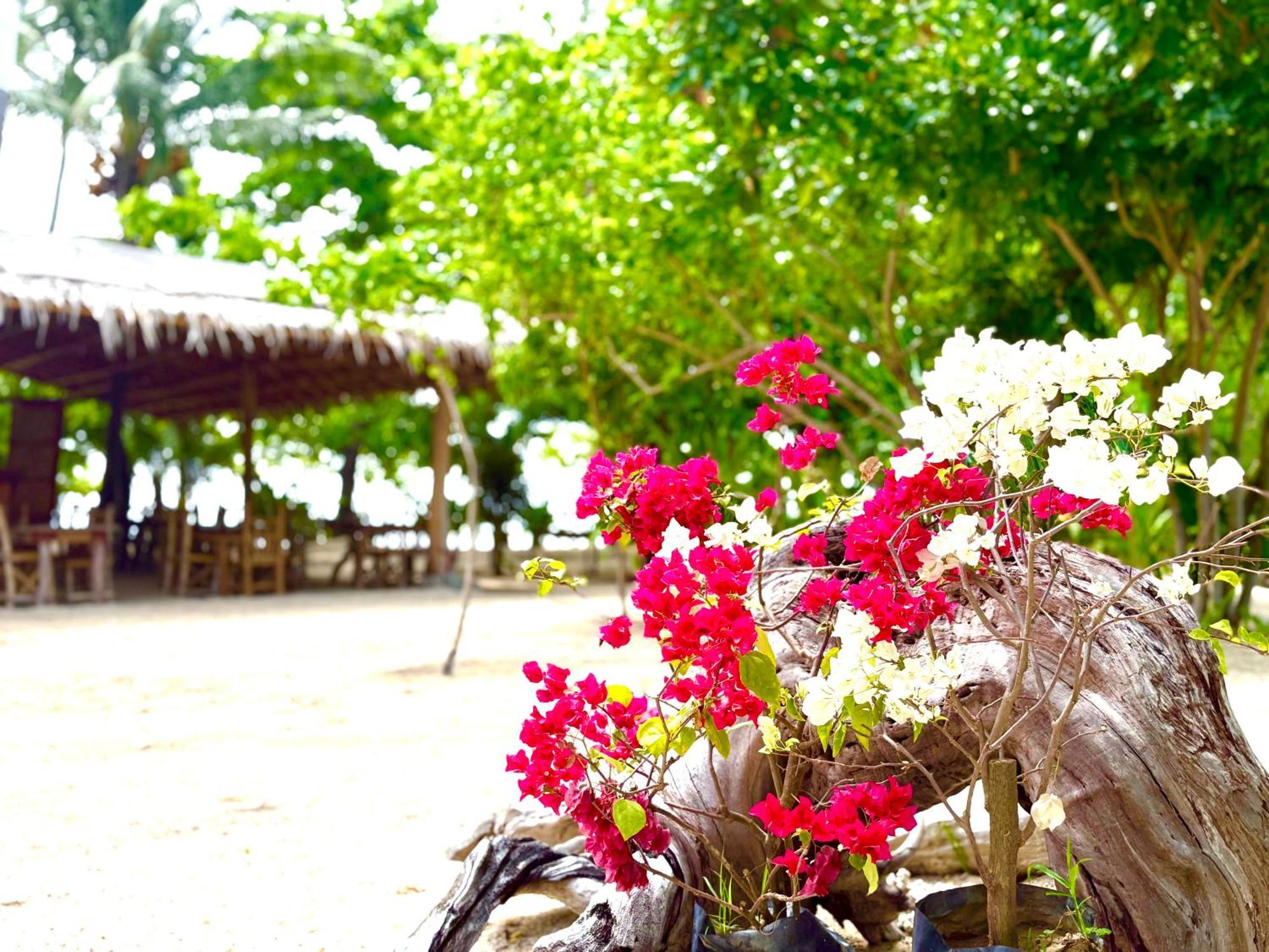 Hotel Dosplaya Ecocamp El Nido Exterior foto